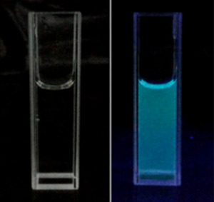 羧基化石墨烯量子点 Carboxylated GQDs