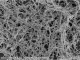 铜纳米线50-200nm（乙醇） Copper Nanowire in Ethanol
