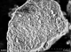 纳米金刚石颗粒（30nm/5g） Diamond Nanoparticles
