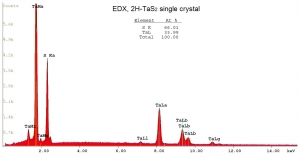 二硫化钽晶体(2H/99.995%) TaS2(Tantalum Sulfide) -2H