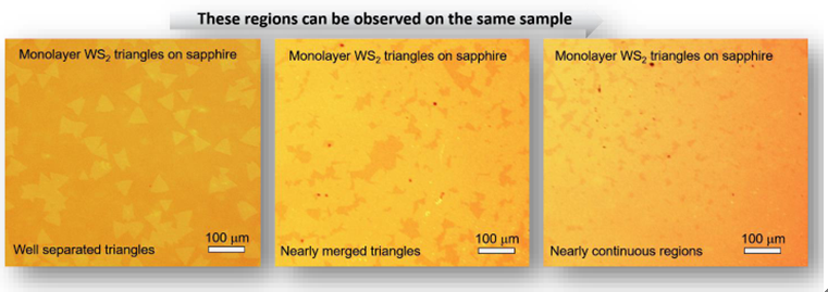 基于蓝宝石衬底的三角形单层二硫化钨-Monolayer WS2 Triangles on c-cut Sapphire