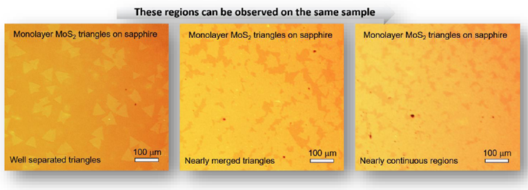 基于蓝宝石衬底的三角形单层二硫化钼-Monolayer MoS2 Triangles on c-cut Sapphire