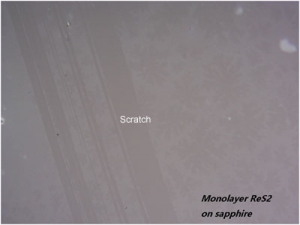 【巨纳】单层二硫化铼（10x10mm）连续薄膜-衬底可选