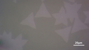 【巨纳】基于蓝宝石基底的三角形单层二硫化钼（10*10mm）