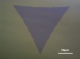 【巨纳】基于二氧化硅基底的三角形单层二硫化钼（10*10mm）