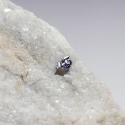 Rare: Naturally Occurring Tungsten Disulfide (WS2)  稀有晶体：天然二硫化钨晶体