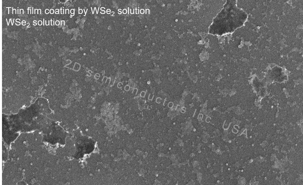 Monolayer WSe2 Solution 单层二硒化钨溶液