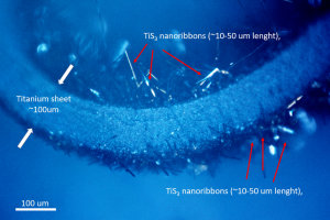 TiS3 nanosheets 三硫化钛纳米片